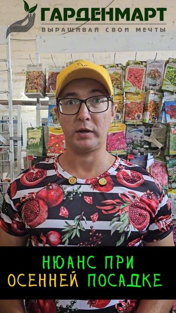 Что нужно сделать при осенней посадке