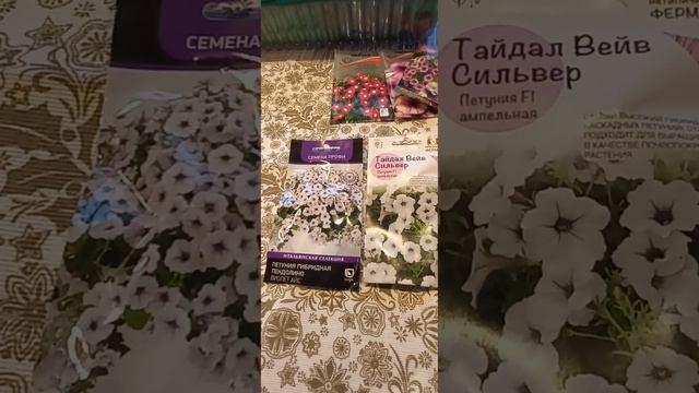 Сеять семена никто не отменял. Мини обзор покупок 🌷🪻
