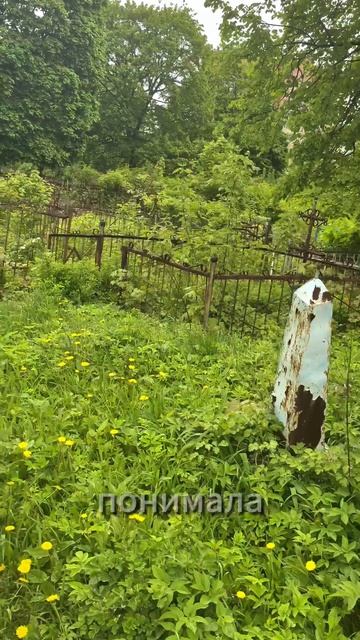 Бабушка в поисках могилы