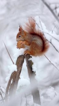 Невероятная природа
