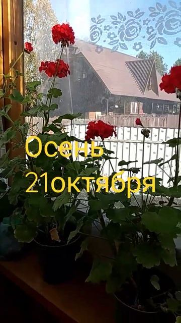 а на веранде застряло лето