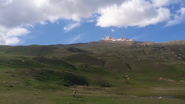 Весенние красоты. Куруш май.