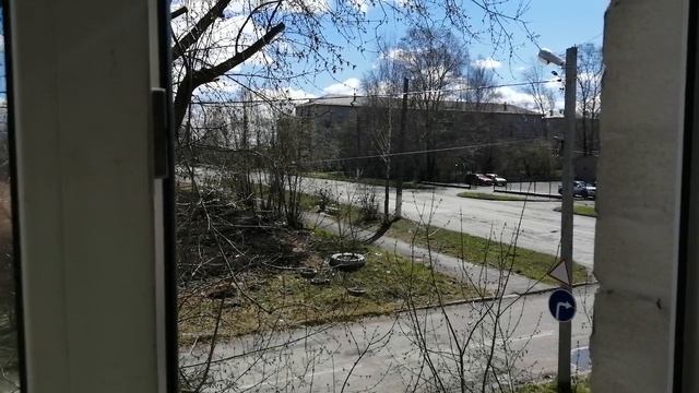 7.05.25./Вася гуляет на кухне у окна, 👌😺+5°