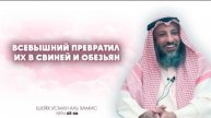 Тафсир суры Аль Бакара 65-66 аяты Шейх Усман Аль Хамис