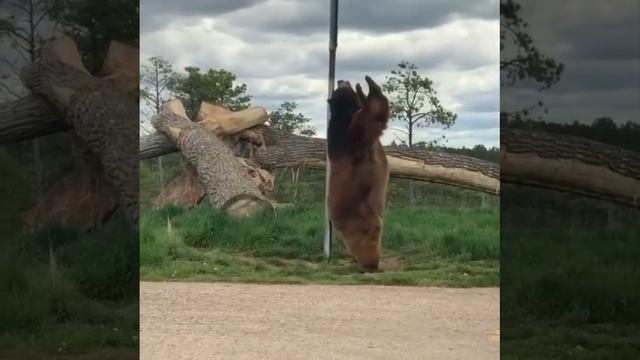 video_2025-05-07_11-22-56