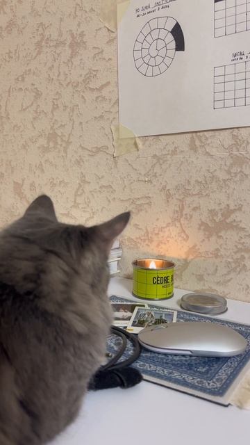 Маленький камин на рабочем месте 🕯️#рабочееместо #св