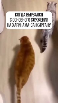 Поддерживаем вас Юмором каждый день!
