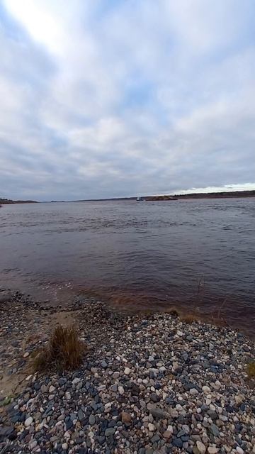Красивая природа . Грустный релакс .