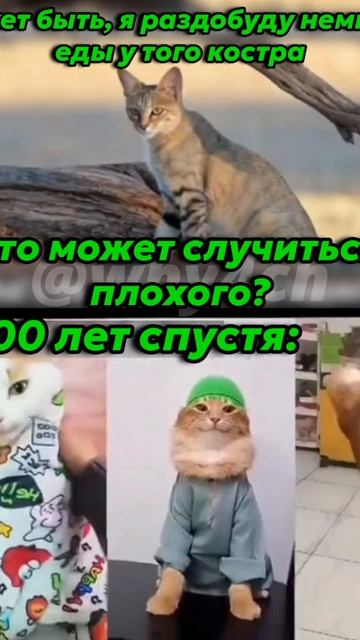 scene_output.mp4