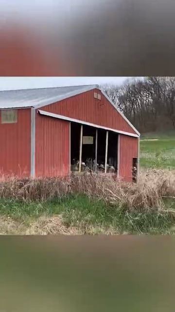 Вот что будет, если подключить мышку к розетке 🤣