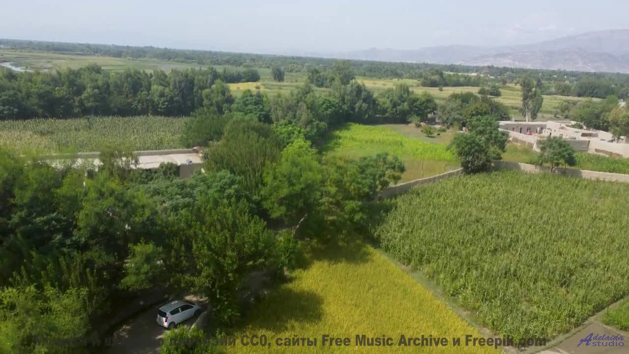 Каждый аккорд будто открывает новый угол планеты - Pop It -- Kirk Osamayo -- Season Two (BLUE)