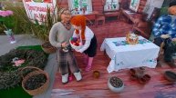+ Новые народные астраханские сказки (5) — к3