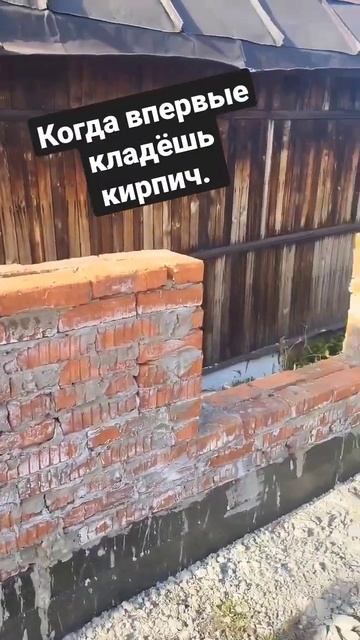 когда сам положил 10 рядов кирпича. #дача #стройка