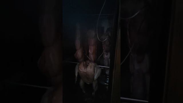 Горячение копчение грудинки и курицы