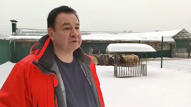Интервью