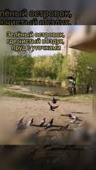 Омск, Комарова, 11/4