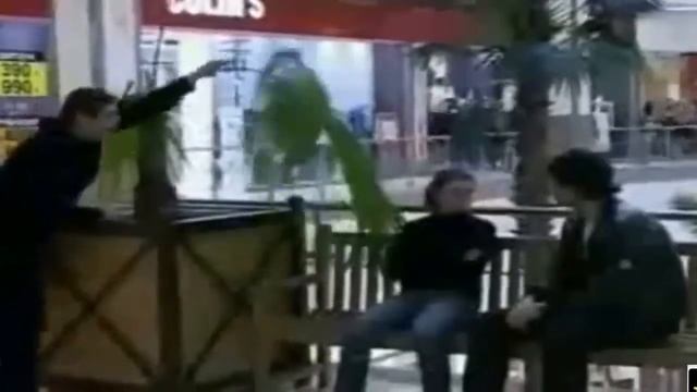 приколы над людьми