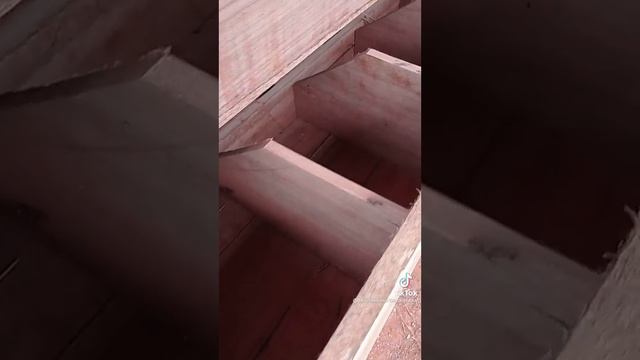 самый мощный курятник,🐓🐔 подпишитесь на мой канал ☑