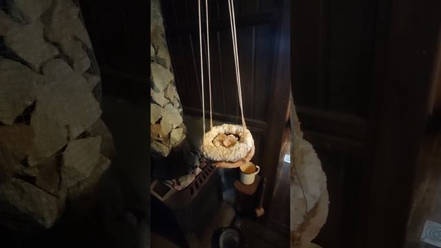 Эфирные масла и травы: секреты ароматов в русской бане