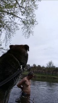повтор