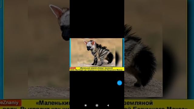 УГАРНЫЕ ПРИКОЛЫ - КРОКОДИЛ ГЕНА УЖЕ НЕ ТОТ))) долгожданные мемасыКИ