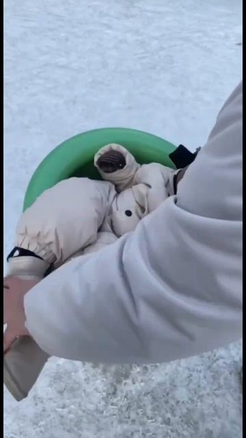 Игрушка на детской площадке😅