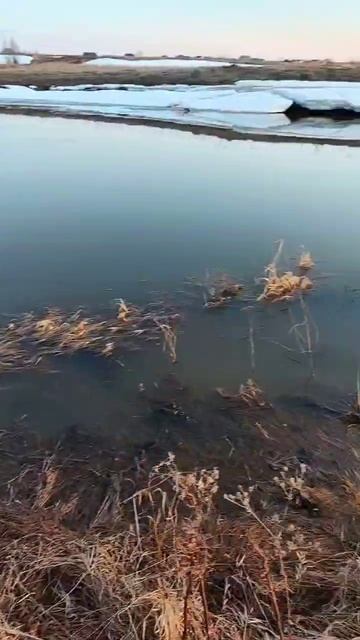1000005939.mp4