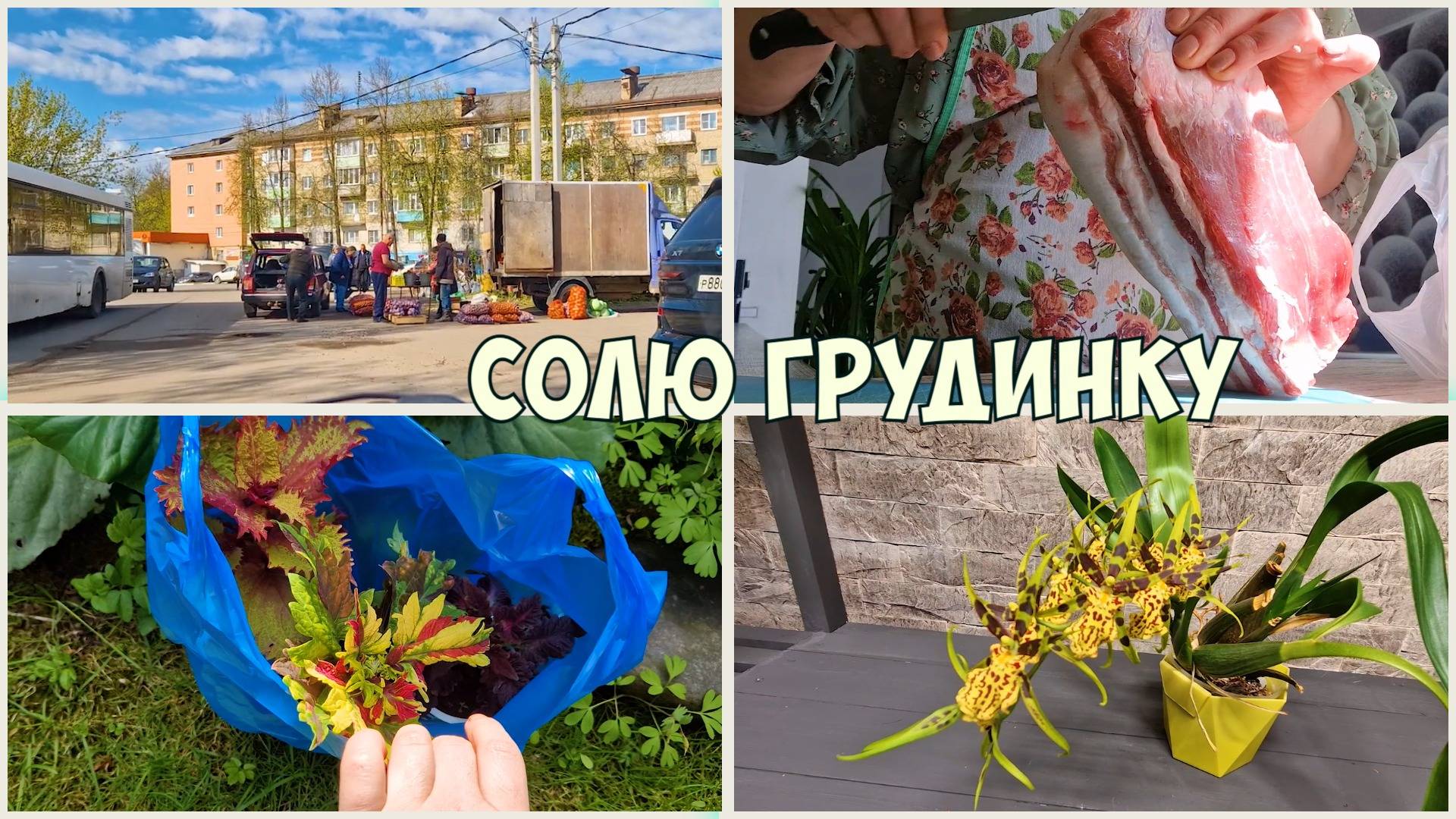 Сложно поверить, что так может быть ЖАРА! Мясо и Цветы с БАЗАРа. В теплице Стеллаж ПОКРАШЕН!