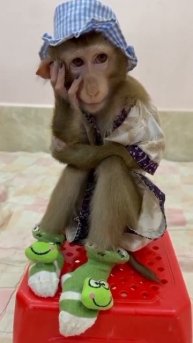 Подпишись, чтобы не потерять!