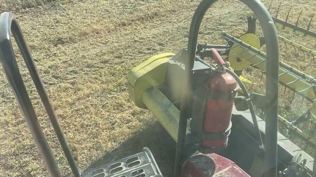 Соевая жатка Sanfloro ЖУЗБ Flex Harvest  работа в поле