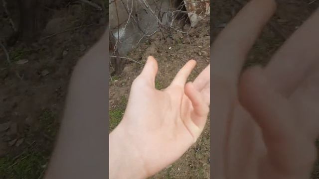 Снежка роет  яму🤦🏻♀️/ что делать?