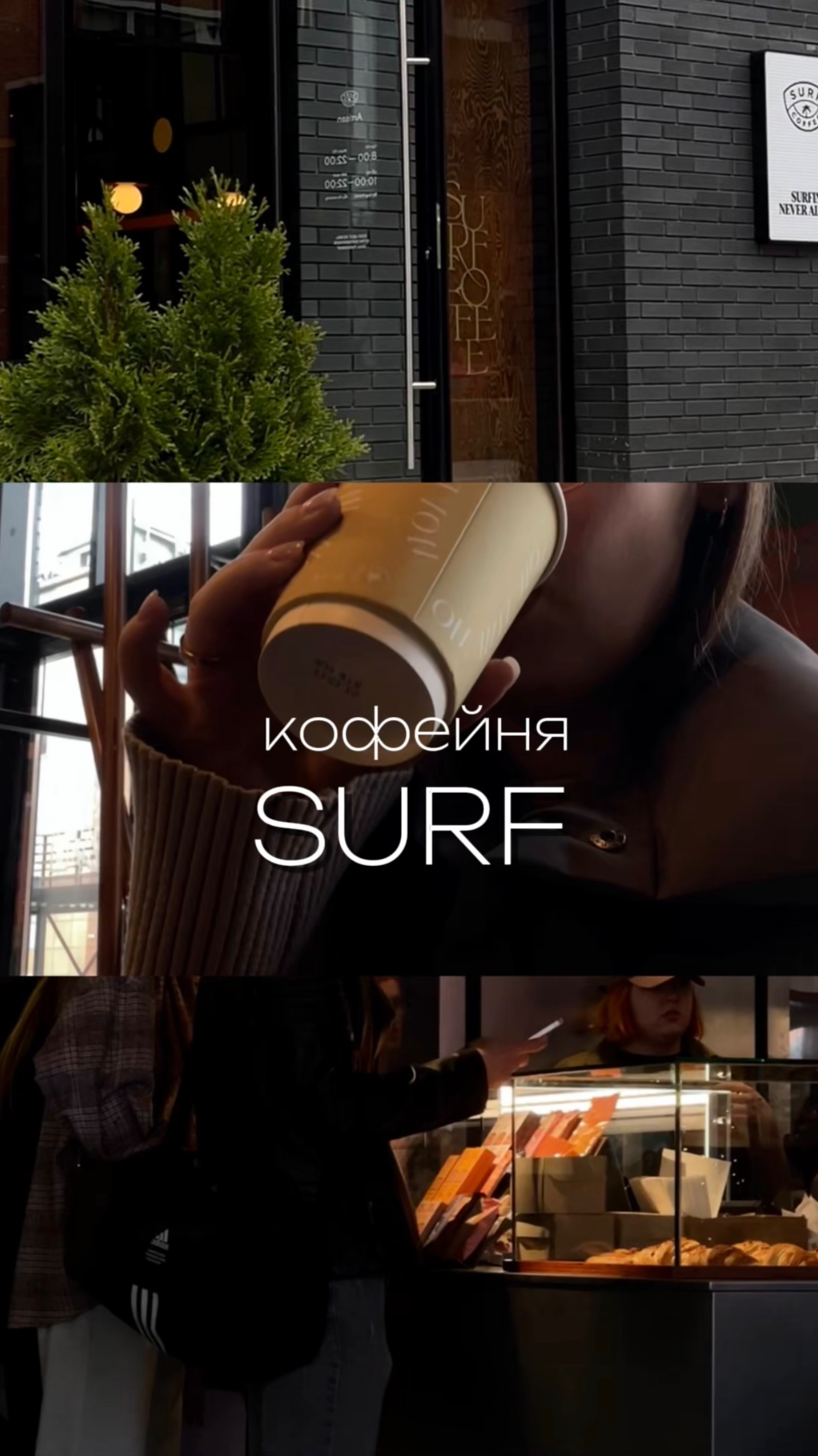 кофейня surf Тула