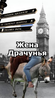 Позор на осле: жестокое наказание жён в Средневековье