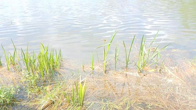 на рыбалке 1 часть