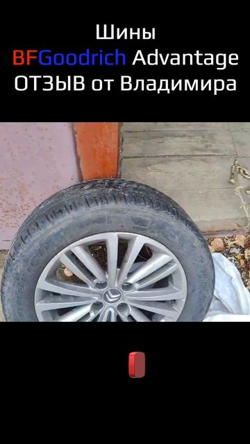BFGoodrich Advantage – отзыв о летних шинах  #воколесо