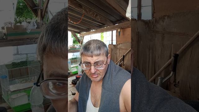 Я не буду тебя содержать.
