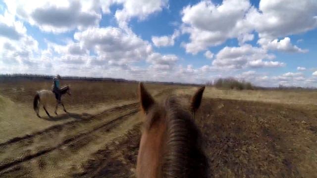 конная прогулка- Буренкино 24.05.16 (Go Pro 3+)