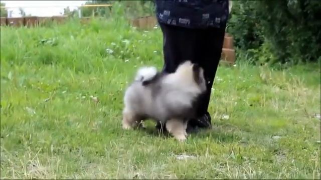 АЛМАЗНЫЙ ИСТОЧНИК ОПЬЯНЕННЫЙ ТОБОЙ