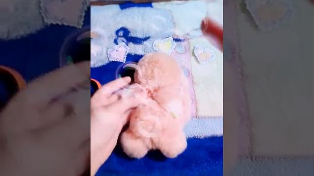 Как я одеваю зайчика прикольно и классно