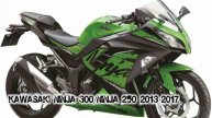 Kawasaki Ninja 300/Ninja 250 2013-2017 ||| мотопластик.рф
