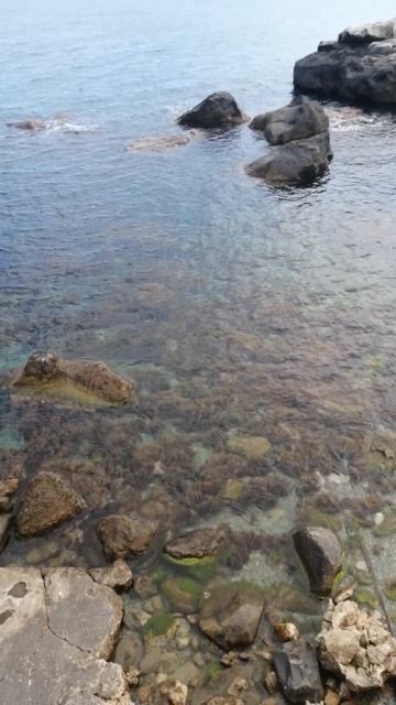 Детский пляж в Алупке. Открытие купального сезона. #кр?