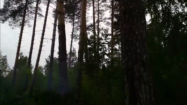 Обзор День России 2017 Железнодорожный