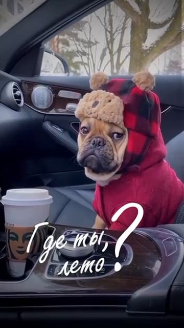 Немножко о погоде