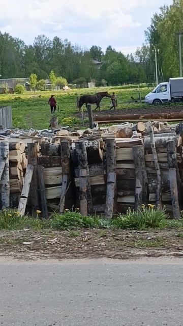 Мы таскаем плуги-вуги каждый день.