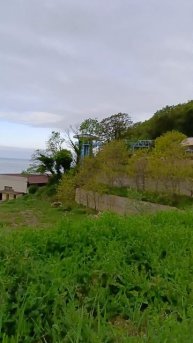 Я просто поднялась на пригорок посмотреть, что там внизу...