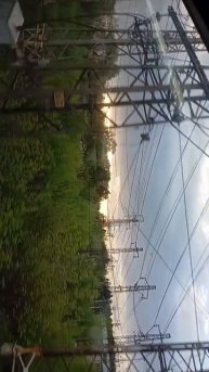 scene_output.mp4