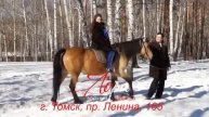 Новая коллекция 2015