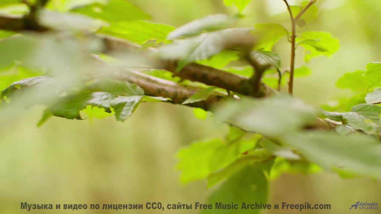 Эти места скрывают тайны - а музыка их раскроет! - Another Level -- Scott Holmes Music -- Corporate