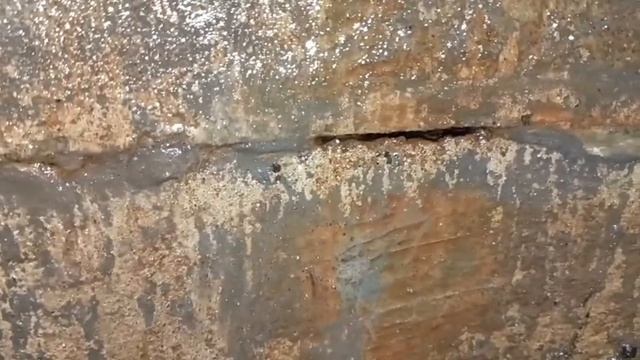 Д. Хрипань. Наш колодец спустя 3 года , на дне наша галька. podkapaev.ru