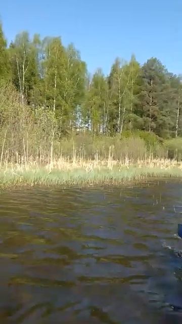 Берендеевы пруды